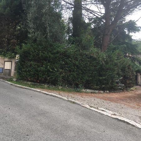 Le Cannet 10Mn Cannes Chambre Independante Etage D'Une Maison Avec Piscine Экстерьер фото